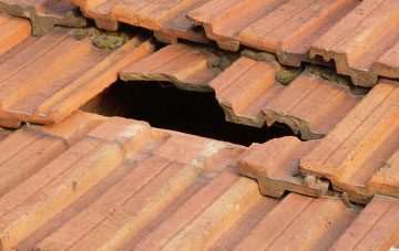 roof repair Stinchcombe, Gloucestershire